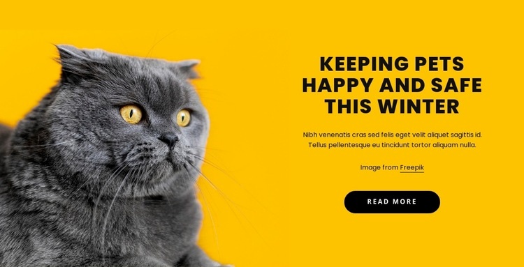 Keeping pets happy Homepage Design