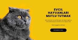 Evcil Hayvanları Mutlu Etmek