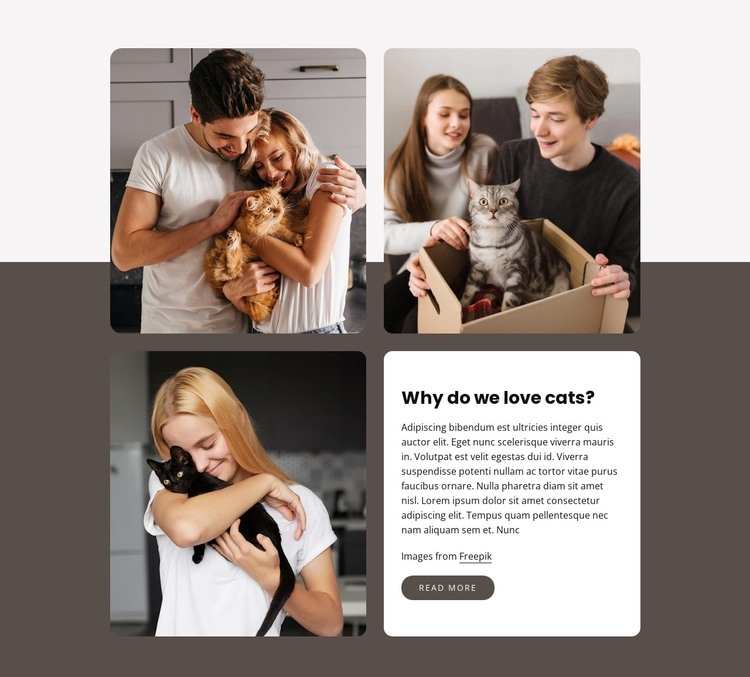 Grid with 3 images Web Design