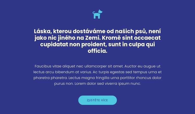 Ikona, texty a tlačítko Šablona