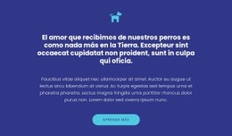 Icono, Textos Y Botón - Diseño De Sitios Web Profesionales