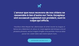 Icône, Textes Et Bouton - Conception De Sites Web Professionnels