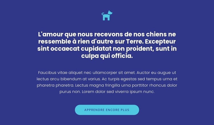 Icône, textes et bouton Conception de site Web