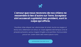 Icône, Textes Et Bouton Modèle CSS Premium