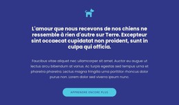 Icône, Textes Et Bouton - Modèle Web HTML