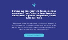 Superbe Modèle HTML5 Pour Icône, Textes Et Bouton