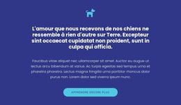 Icône, Textes Et Bouton - Thème WordPress Personnalisé