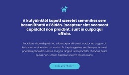 Ikon, Szövegek És Gomb - Professzionális Webhelytervezés