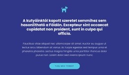 Ikon, Szövegek És Gomb – Egyéni WordPress-Téma