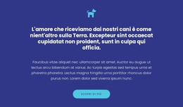 Icona, Testi E Pulsante - Tema WordPress Personalizzato