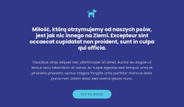 Ikona, Teksty I Przycisk Szablon CSS Premium