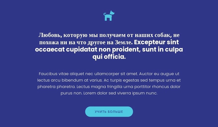 Значок, тексты и кнопка Дизайн сайта
