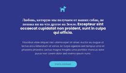 Значок, Тексты И Кнопка – Пользовательская Тема WordPress