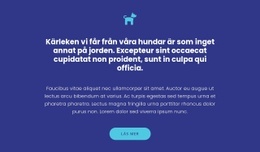 Ikon, Texter Och Knapp Premium CSS-Mall