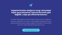 Simge, Metinler Ve Düğme Premium CSS Şablonu