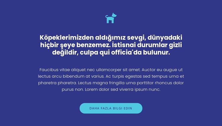 Simge, metinler ve düğme HTML Şablonu