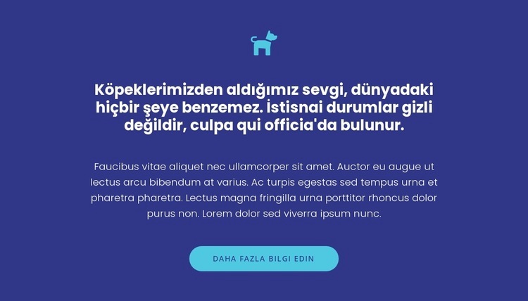 Simge, metinler ve düğme HTML5 Şablonu