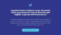 Simge, Metinler Ve Düğme - Kullanımı Kolay Tek Sayfalık Şablon