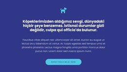 Simge, Metinler Ve Düğme - Mobil Web Sitesi Şablonu