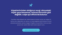Simge, Metinler Ve Düğme - Profesyonel Web Sitesi Tasarımı