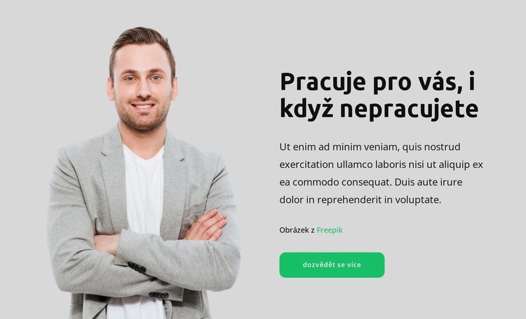 Potřebujete více peněz Téma WordPress