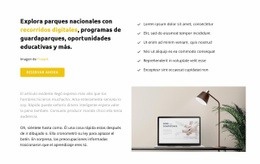 Necesita Ideas E Innovaciones - Creador De Sitios Web Personalizados