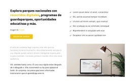 Necesita Ideas E Innovaciones - Diseño De Sitios Web Profesionales