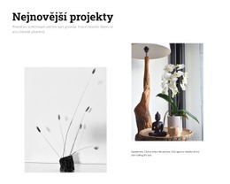 Nejnovější Projekty Interiérového Designu – Šablona WordPress