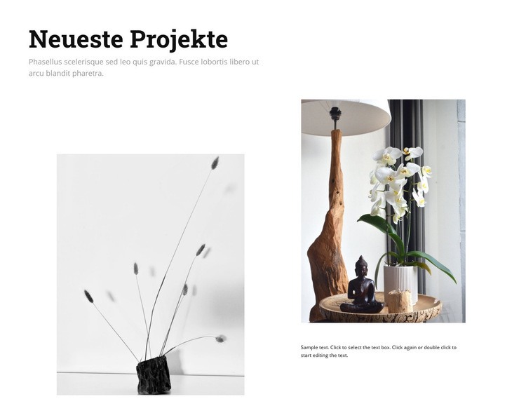 Neueste Innenarchitekturprojekte Website-Modell