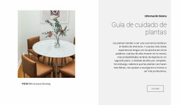 Ideas De Decoración De Habitaciones - HTML5 Website Builder