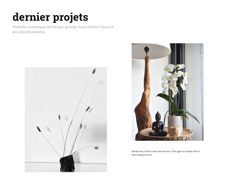 Derniers projets de design d'intérieur Thème WordPress