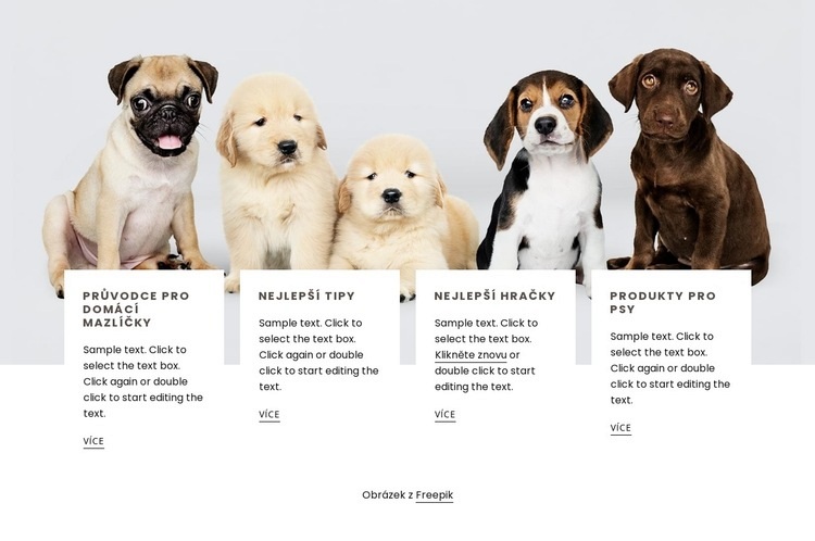 Tipy pro majitele psů Šablona CSS