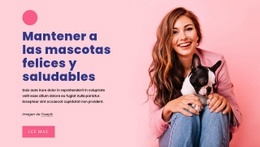 Diseño De Sitio Web Multipropósito Para Mantener A Las Mascotas Saludables