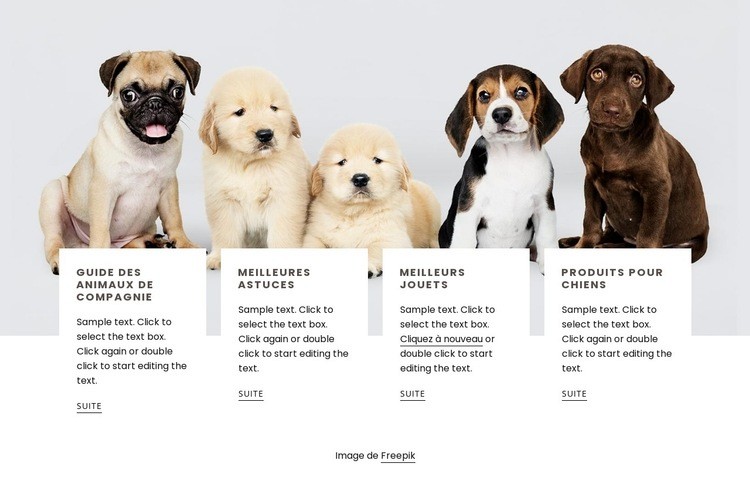 Conseils pour les propriétaires de chiens Conception de site Web
