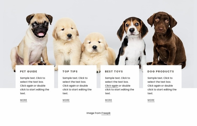 Tips for dog owners Homepage Design