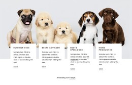 Tips Voor Hondenbezitters Eenvoudige HTML CSS-Sjabloon