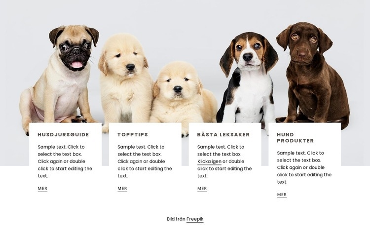 Tips till hundägare HTML-mall