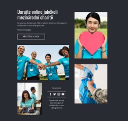 Darujte Online Jakékoli Charitativní Organizaci - Funkční Design