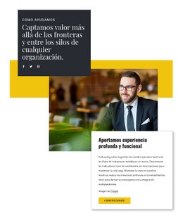 Ayuda De Un Consultor Empresarial - Creador De Sitios Web