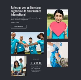 Faites Un Don En Ligne À N'Importe Quel Organisme De Bienfaisance Modèle De Site Web CSS Gratuit
