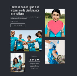 Faites Un Don En Ligne À N'Importe Quel Organisme De Bienfaisance - Modèle Web