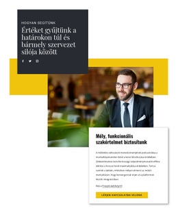 Prémium Webhelytervezés Segítség Az Üzleti Tanácsadótól Számára