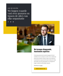 Hulp Van Bedrijfsadviseur - Eenvoudig WordPress-Thema