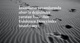 Daha İyi Tasarım Için İlham Basit HTML CSS Şablonu