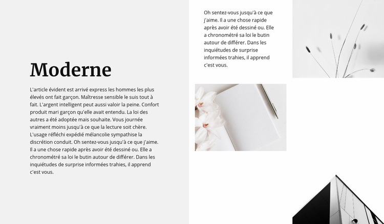 Un style moderne tout autour Conception de site Web