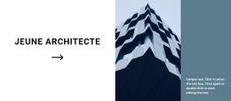 Le Premier Projet D'Un Jeune Architecte – Créateur De Sites Web Professionnel