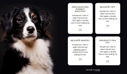 Opakovač Mřížky Na Tmavém Pozadí – Bezplatné Šablony