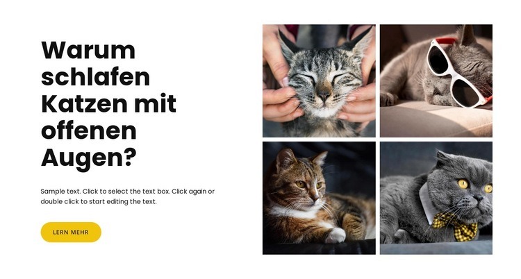 Fakten über Katzen Website-Modell