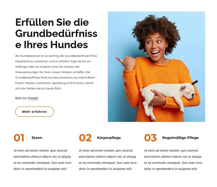 Die Grundbedürfnisse des Hundes Website-Modell