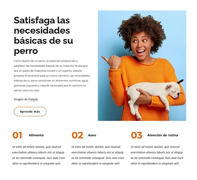 Las necesidades básicas del perro. Creador de sitios web HTML